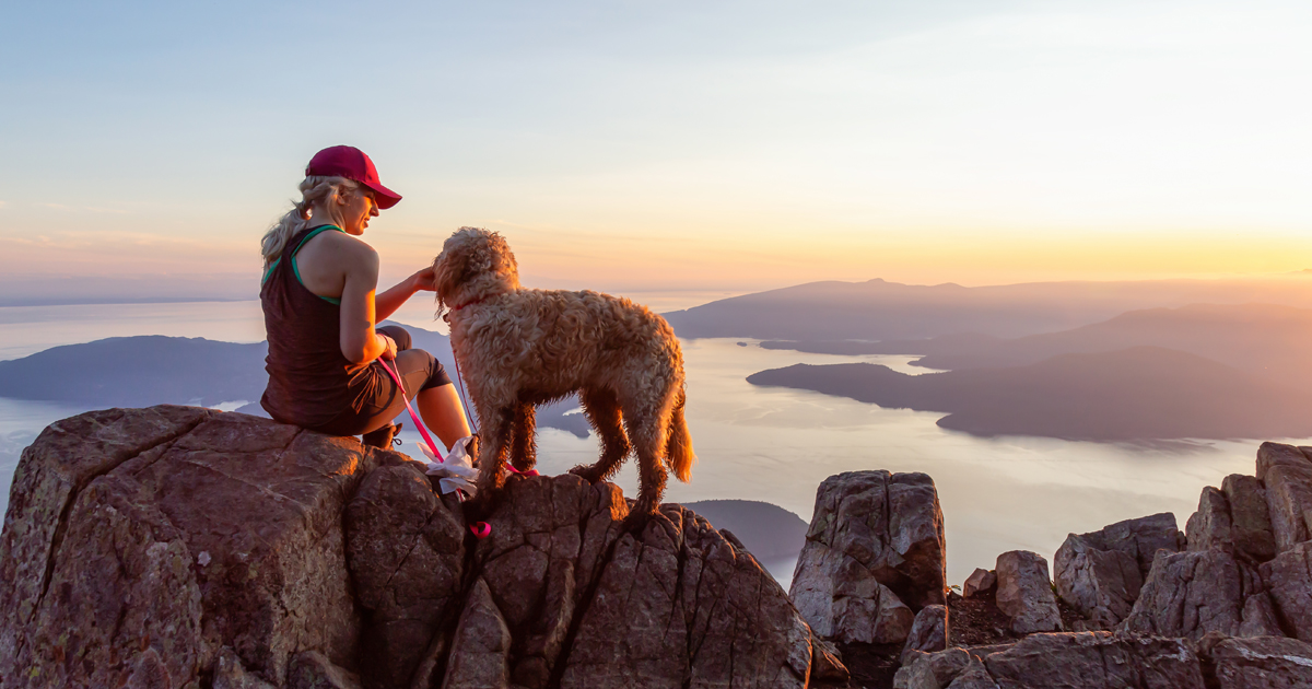 Direct relief program